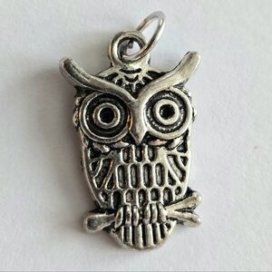 Owl pendant charm silver tone bird